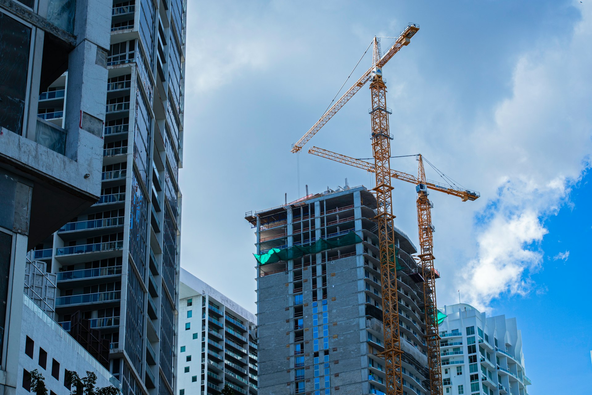 Construction cranes stand tall over buildings